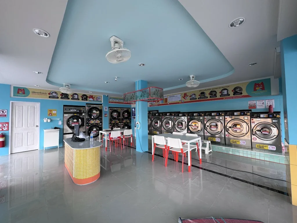 Freshy Washie gallery 3