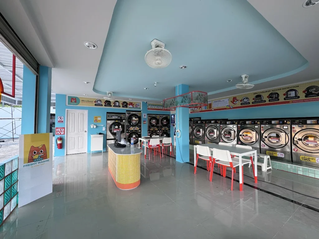 Freshy Washie gallery 2